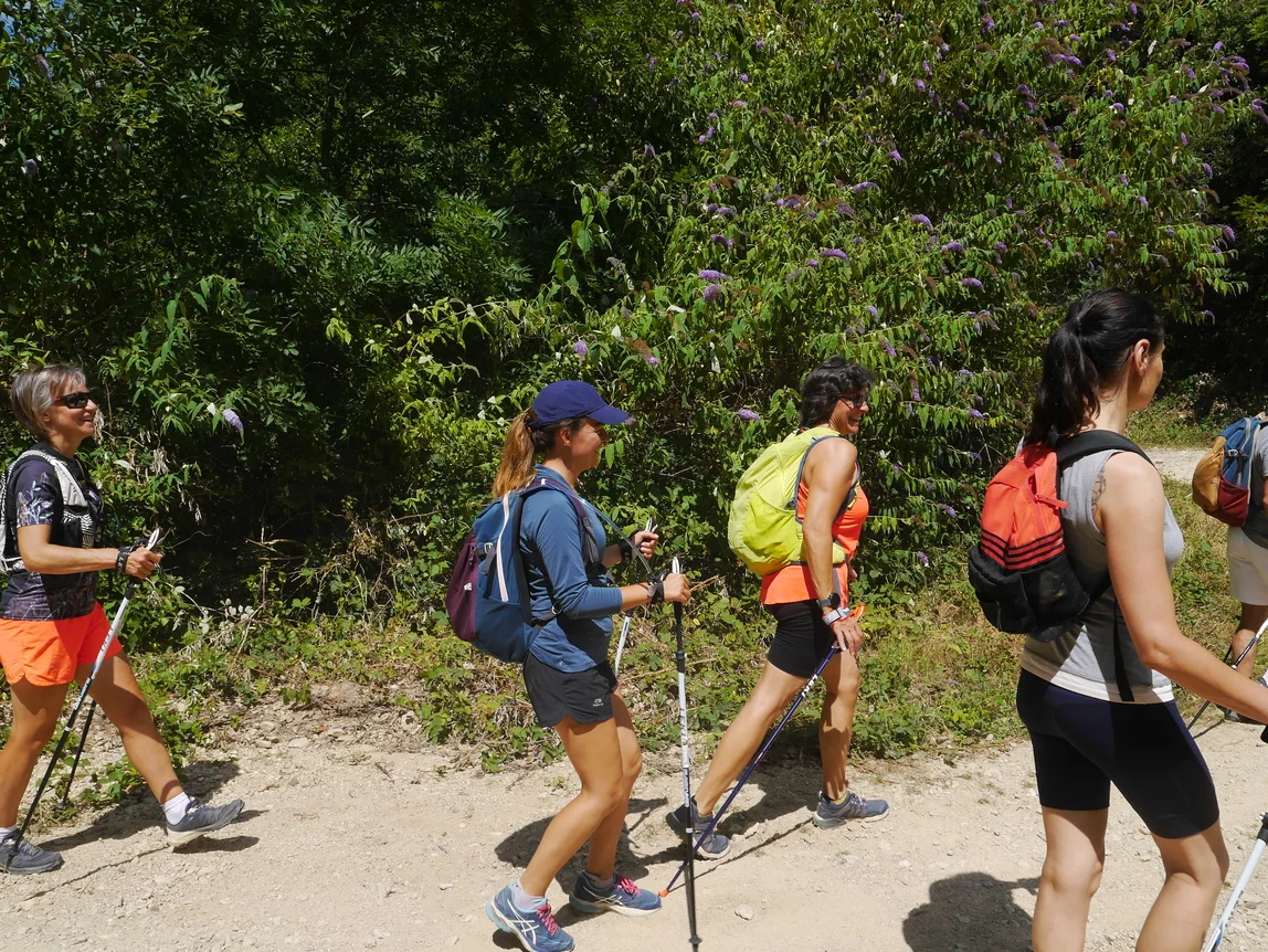 groupe de personnes pratiquant la marche nordique